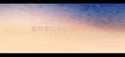 教你看拉布拉多纯不纯