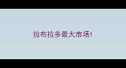 拉布拉多最大市场