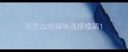 该怎么给猫咪选择疫苗