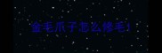 金毛爪子怎么修毛