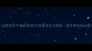 边牧母犬不做绝育的5大危害及应对措施新手养边牧必看