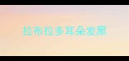 拉布拉多耳朵发黑