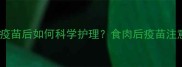 狗狗接种疫苗后如何科学护理食肉后疫苗注意事项全