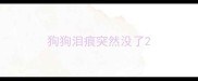 狗狗泪痕突然没了