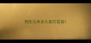 狗生出来多久能打疫苗