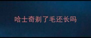 哈士奇剃了毛还长吗
