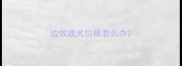 边牧成犬拉稀怎么办