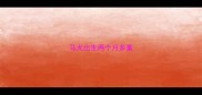 马犬出生两个月多重