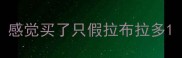 感觉买了只假拉布拉多