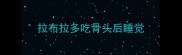 拉布拉多吃骨头后睡觉