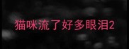 猫咪流了好多眼泪