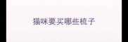 猫咪要买哪些梳子