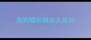狗狗蠕形螨多久能好