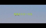 泰迪多久去一次虫