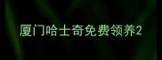 厦门哈士奇免费领养
