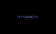 两个月边牧可以打吗