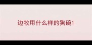 边牧用什么样的狗碗