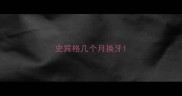 史宾格几个月换牙