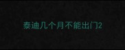 泰迪几个月不能出门