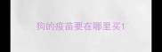狗的疫苗要在哪里买
