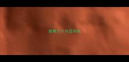 狼青几个月竖耳朵