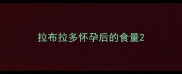 拉布拉多怀孕后的食量