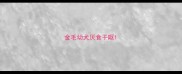 金毛幼犬厌食干呕