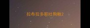 拉布拉多呕吐狗粮