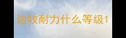 边牧耐力什么等级