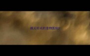 顺义好点的宠物医院