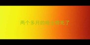 两个多月的哈士奇死了