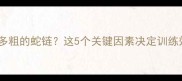 边牧适合用多粗的蛇链这5个关键因素决定训练效果与安全