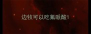 边牧可以吃氟哌酸