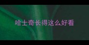 哈士奇长得这么好看