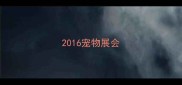 2016宠物展会