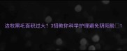边牧黑毛面积过大3招教你科学护理避免阴阳脸