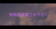 狗狗疫苗第三针不打