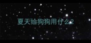 夏天给狗狗用什么