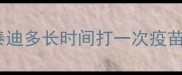 泰迪多长时间打一次疫苗