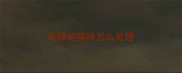 死掉的猫咪怎么处理