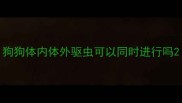 狗狗体内体外驱虫可以同时进行吗