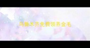 乌鲁木齐免费领养金毛