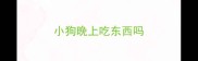 小狗晚上吃东西吗