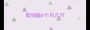 雪纳瑞6个月几斤