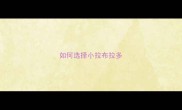 如何选择小拉布拉多