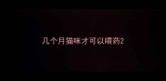 几个月猫咪才可以喂药