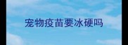 宠物疫苗要冰硬吗