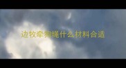 边牧牵狗绳什么材料合适
