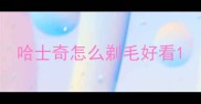 哈士奇怎么剃毛好看
