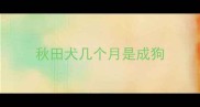秋田犬几个月是成狗